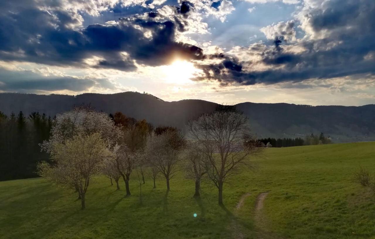 Pension Irlingerhof Mondsee Zewnętrze zdjęcie